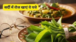 आंखों से हट जाएगा चश्मा और तेजी से घटेगा वजन! सर्दी में हड्डियों का दर्द होगा गायब, बस डाइट में शामिल करें ये 1 जादुई पत्तेदार सब्जी