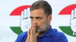 राहुल गांधी की नागरिकता से जुड़े मामले में सुनवाई पूरी, इस तारीख को आ सकता है फैसला