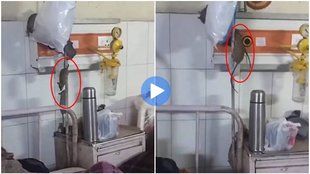 Rat spotted, Video viral, Gonda Medical College, Trending News,