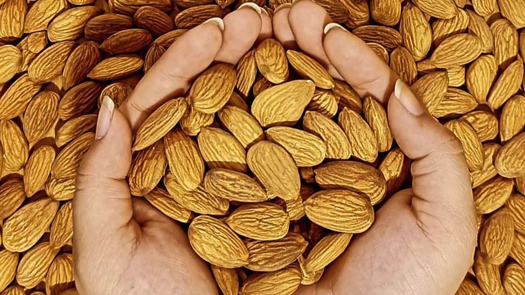 Real Vs Fake Almonds, How to Identify Real Almond, asli badam ki pehchan Real Vs Fake Almonds, How to Identify Real Almond, asli badam ki pehchan