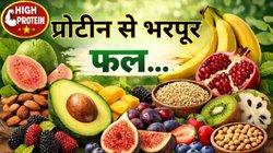 सबसे ज्यादा प्रोटीन वाले फल कौन से हैं? यहां जानें नाम और किसे खाने चाहिए और किसे नहीं