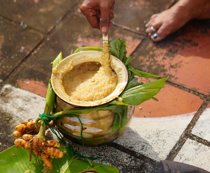 Sakkarai Pongal