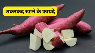 Sweet Potato Benefits, शकरकंद खाने के फायदे, Sweet potato health benefits, Shakarkand benefits in Hindi, Sweet potato diet benefits, Sweet potato for digestion, Sweet potato for immunity, Sweet potato benefits for stomach, Sweet potato benefits for weight loss, Sweet potato for diabetes, Sweet potato for constipation, Sweet potato for heart health, शकरकंद खाने से कौन सी बीमारियां ठीक होती हैं, शकरकंद खाने का सही समय क्या है, डाइटिशियन की सलाह शकरकंद, शकरकंद किन बीमारियों में फायदेमंद, शकरकंद कब और कैसे खाएं, शकरकंद सेहत के लिए