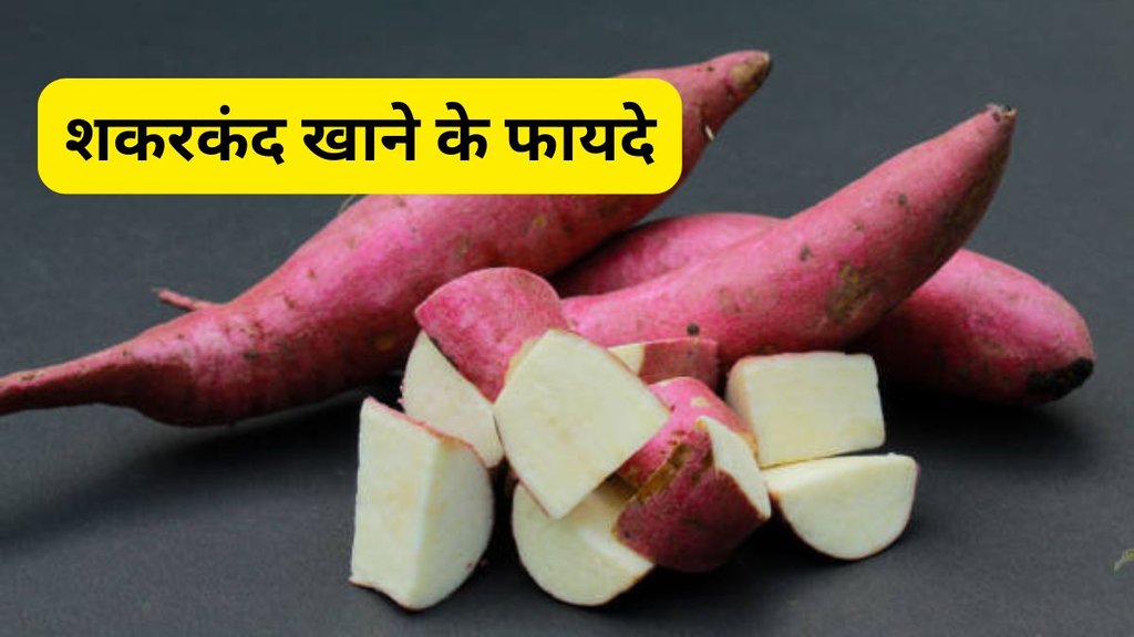 Sweet Potato Benefits, शकरकंद खाने के फायदे, Sweet potato health benefits, Shakarkand benefits in Hindi, Sweet potato diet benefits, Sweet potato for digestion, Sweet potato for immunity, Sweet potato benefits for stomach, Sweet potato benefits for weight loss, Sweet potato for diabetes, Sweet potato for constipation, Sweet potato for heart health, शकरकंद खाने से कौन सी बीमारियां ठीक होती हैं, शकरकंद खाने का सही समय क्या है, डाइटिशियन की सलाह शकरकंद, शकरकंद किन बीमारियों में फायदेमंद, शकरकंद कब और कैसे खाएं, शकरकंद सेहत के लिए Sweet Potato Benefits, शकरकंद खाने के फायदे, Sweet potato health benefits, Shakarkand benefits in Hindi, Sweet potato diet benefits, Sweet potato for digestion, Sweet potato for immunity, Sweet potato benefits for stomach, Sweet potato benefits for weight loss, Sweet potato for diabetes, Sweet potato for constipation, Sweet potato for heart health, शकरकंद खाने से कौन सी बीमारियां ठीक होती हैं, शकरकंद खाने का सही समय क्या है, डाइटिशियन की सलाह शकरकंद, शकरकंद किन बीमारियों में फायदेमंद, शकरकंद कब और कैसे खाएं, शकरकंद सेहत के लिए