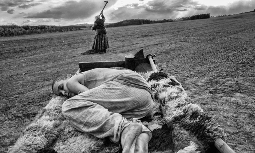 The Painted Bird is a 2019