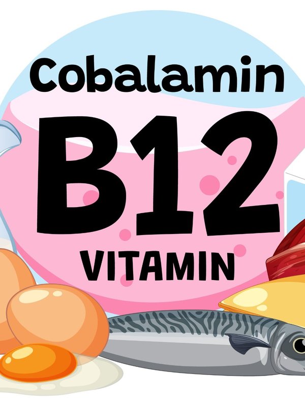 Vitamin B12 vegetarian foods