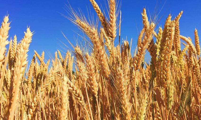 everyday products from UAE used in India