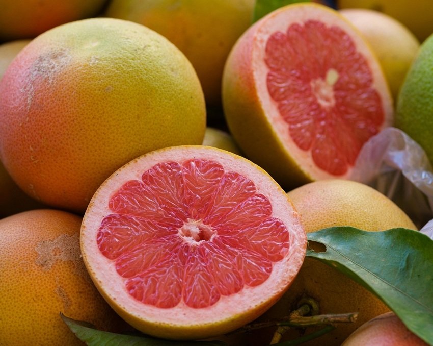 What Science Actually Reveals