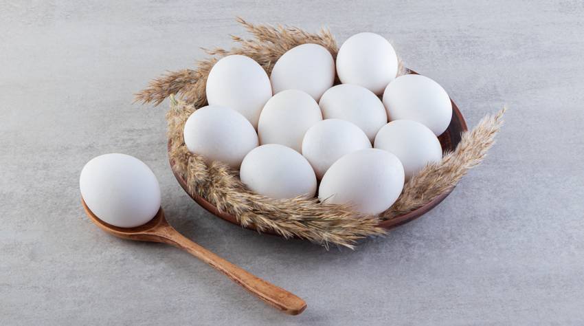 egg prices by country