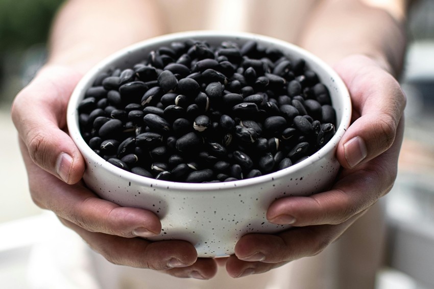 Why Should You Add Black Beans to Your Diet