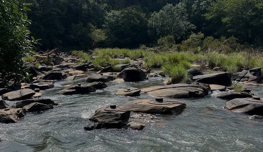 Mahabalipuram shivling