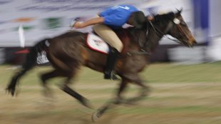 Jordan Tent Pegging World Cup, Sports Ministry India, Indian Equestrian News