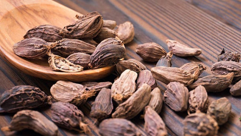 Black Cardamom Health Benefits, Black Cardamom Benefits in Hindi, cardamom benefits, benefits of cardamom, how to add black cardamom aka badi elaichi into diet, black cardamom benefits for health, Badi Elaichi ke fayde, Badi Elaichi ke fayde in hindi, Black Cardamom ke fayde, Black cardamom benefits for stomach, Black cardamom benefits for metabolism, Black cardamom for digestion, Black cardamom for weight loss, Badi elaichi benefits in Hindi, Black cardamom health benefits, बड़ी इलायची के फायदे, बड़ी इलायची खाने के फायदे, वजन घटाने में बड़ी इलायची, बड़ी इलायची पाचन के लिए, बड़ी इलायची खाने से क्या फायदे होते हैं, पाचन के लिए बड़ी इलायची कैसे खाएं, वजन कंट्रोल करने के लिए बड़ी इलायची, गैस और एसिडिटी के लिए बड़ी इलायची