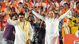 BMC polls| maharshtra| thackeray brothers