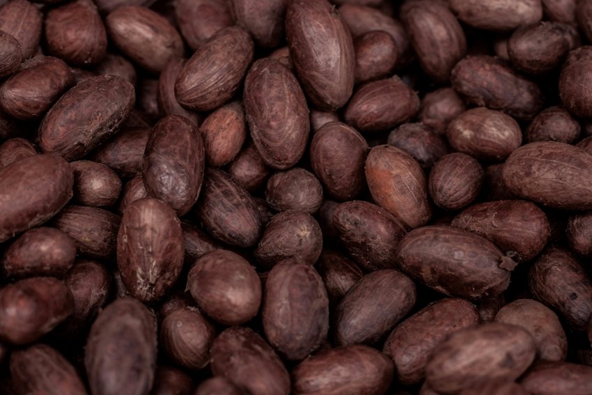 cocoa beans