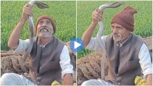 UP Rampur video viral, cobra bite elderly man, cobra bite man up rampur,