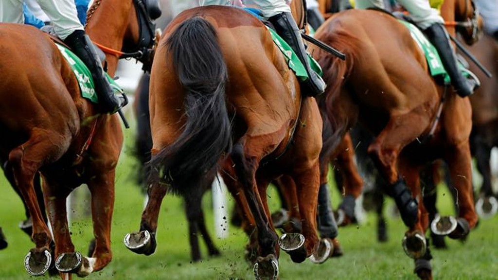 Indian Equestrian Federation, EFI controversy, Tent Pegging World Cup, Jordan, rape accused, sports administration