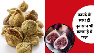 Benefits and side effects of figs, Who should not eat figs ayurveda, Anjeer benefits and risks, अंजीर खाने के नुकसान और फायदे,Figs for constipation,