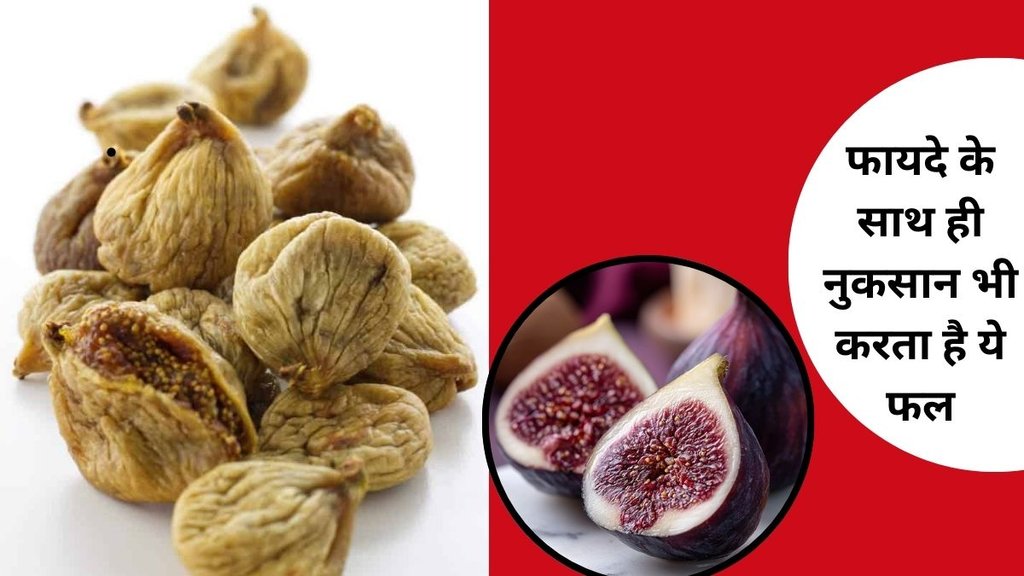 Benefits and side effects of figs, Who should not eat figs ayurveda, Anjeer benefits and risks, अंजीर खाने के नुकसान और फायदे,Figs for constipation,