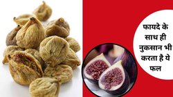Benefits vs Risks: कब्ज मिटाने वाला अंजीर कहीं आपकी किडनी और पेट तो नहीं बिगाड़ रहा? जानिए किन्हें करना चाहिए परहेज