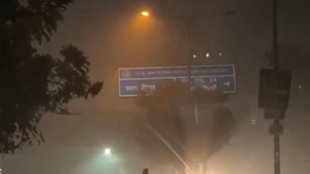 delhi news, delhi fog, weather