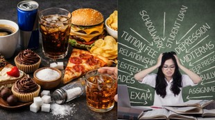 Mental health, anxiety and depression, Mental health diet, Mental health anxiety,Foods that cause anxiety research, Diet and stress connection Hindi