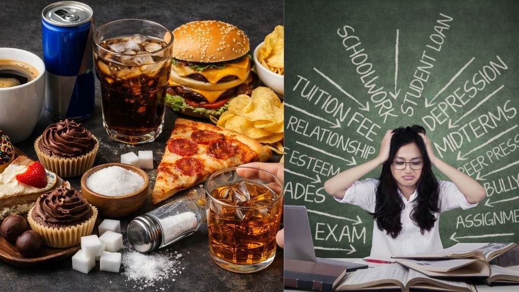 Mental health, anxiety and depression, Mental health diet, Mental health anxiety,Foods that cause anxiety research, Diet and stress connection Hindi