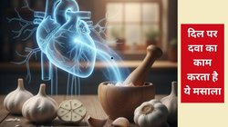 High Cholesterol: रोज़ 2 कली लहसुन से 10% तक घट सकता है कोलेस्ट्रॉल, साइंटिफिक स्टडी का दावा, नसों से पिघला देता है गंदी चर्बी