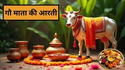 Gau Mata Ki Aarti: गौ माता की पूरी आरती, ॐ जय गौ माता, मैया जय धेनु माता… यहां पढ़ें पूरी आरती