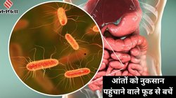 Gut Health Alert: आंतों के दुश्मन हैं ये 5 फूड्स! धीरे-धीरे खत्म कर देते हैं गुड बैक्टीरिया, गैस्ट्रोलॉजिस्ट ने बताया इन्हें आंत के लिए ज़हर