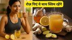 Tea without sugar and tea leaves benefits, Ayurvedic tea for fatty liver, Herbal tea for heart health,पाचन के लिए आयुर्वेदिक चाय,