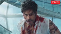 ‘किंग’ की रिलीज डेट फाइनल, 24 दिसंबर को लौटेगा शाहरुख खान का रॉयल अवतार