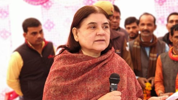maneka gandhi, delhi pollution, delhi firecrackers