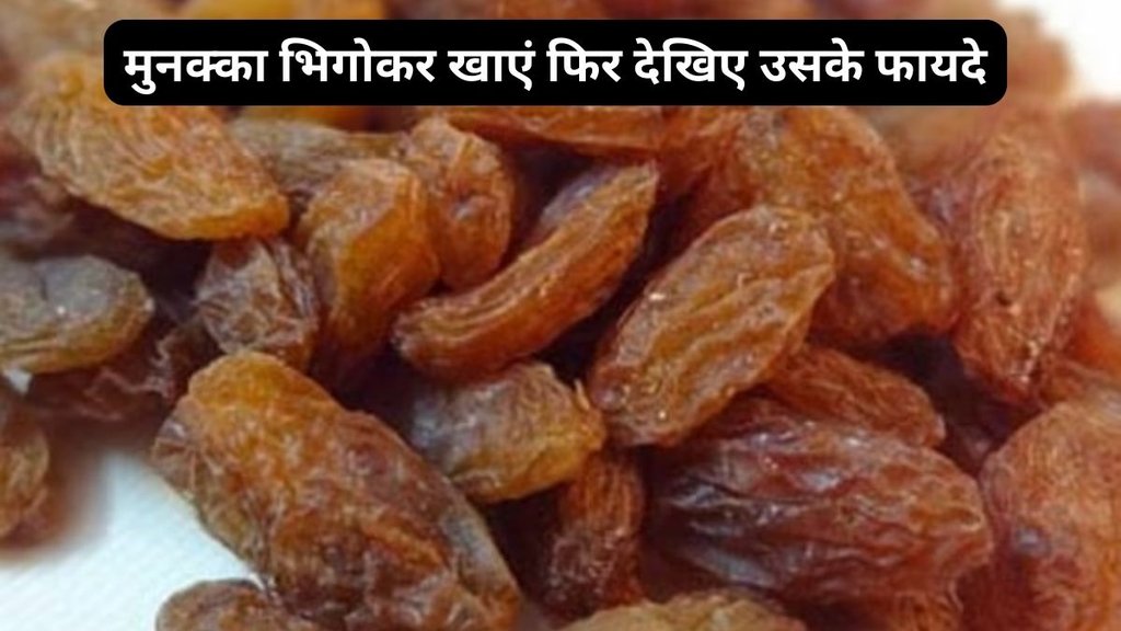 Benefits of Munakka, Black Raisins, Munakka for digestion and constipation, Ayurvedic benefits of Munakka, मुनक्का खाने के फायदे