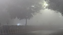 Weather Update: दिल्ली-एनसीआर में घना कोहरा, सड़कों पर जीरो विजिबिलिटी