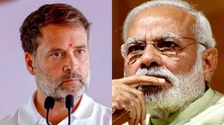 ‘4.5 करोड़ से ज्यादा नौकरियां खतरे में…’, ट्रंप टैरिफ को लेकर राहुल गांधी का मोदी सरकार पर निशाना