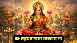 Shukrawar Ke Upay: मां लक्ष्मी को प्रसन्न करने के लिए हर शुक्रवार को करें इस स्त्रोत का पाठ, धन- धान्य की होगी प्राप्ति