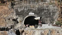 चारधाम की 13 परियोजनाओं के लिए काटे गए 17 हजार से ज्यादा पेड़, केंद्र सरकार ने एनजीटी को बताया