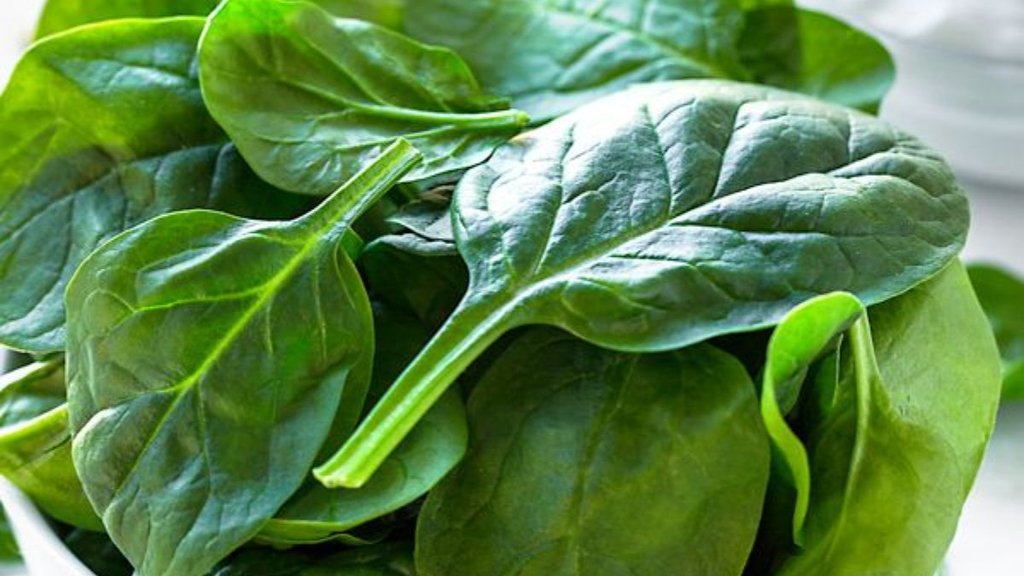Spinach, spinach juice, spinach juice benefits, Spinach juice benefits for skin, Spinach juice benefits for men