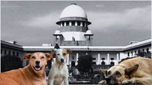 Supreme Court stray dogs case, Animal Birth Control ABC Rules,