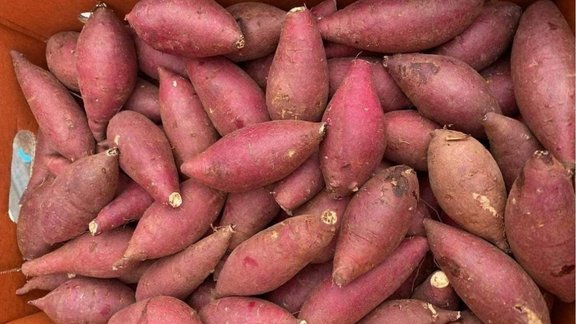 sweet potato, sweet potato health benefits, sweet potato for eyes , sweet potato for skin