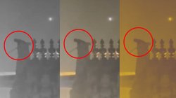 नशे में तिरुपति मंदिर के ऊपर चढ़ गया शख्स, मांगने लगा शराब, हाई-वोल्टेज ड्रामे का VIDEO