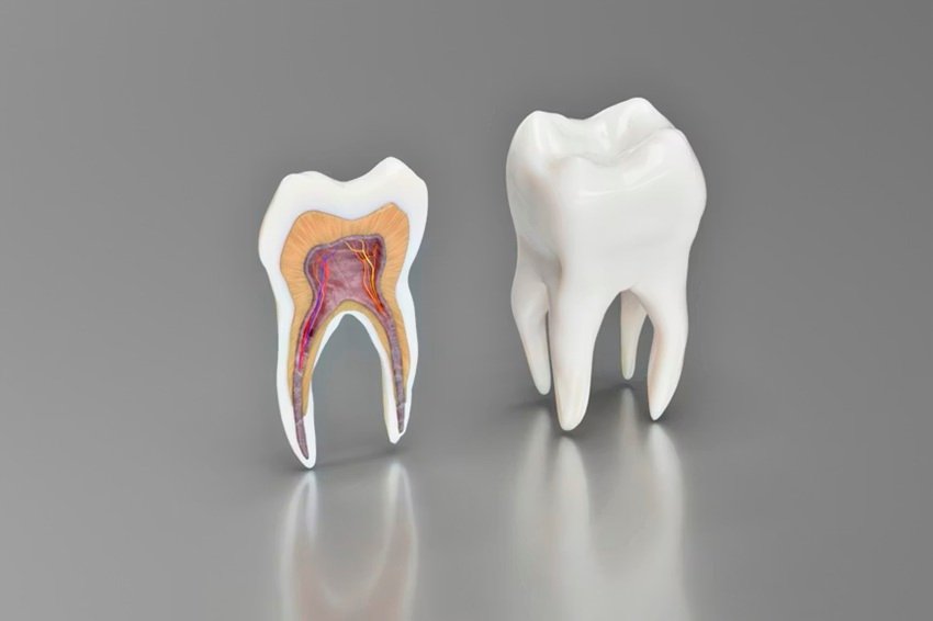 wisdom teeth medical research
