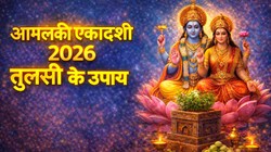 Amalaki Ekadashi 2026: आमलकी एकादशी पर करें तुलसी से जुड़े ये खास उपाय, मां लक्ष्मी की कृपा मिलने की है मान्यता