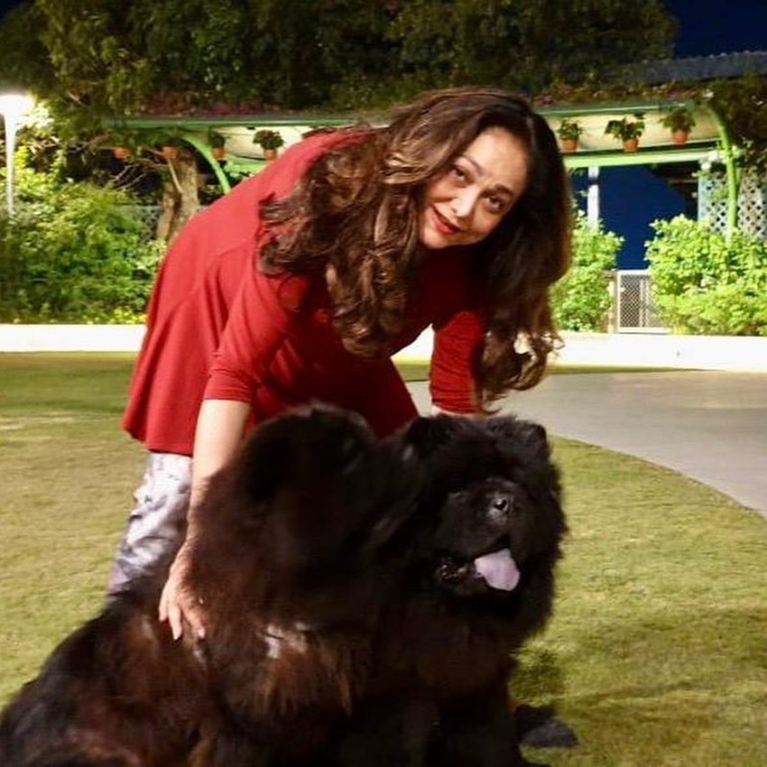 Abode Pali Hill Mumbai