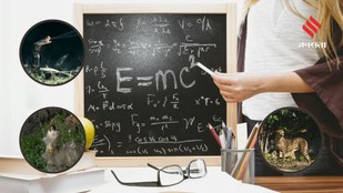 Animals That Use Physics to Hunt Their Prey