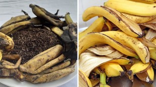Banana Peel, Banana Peel Fertilizer, Banana Peel Fertilizer for Plants
