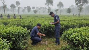 One more Hindu murdered before Bangladesh Election Eve body found in tea plantation police investigating