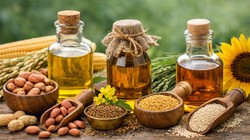 Diabetes Control: क्या मूंगफली, सरसों और तिल का तेल शुगर मरीजों के लिए फायदेमंद है? जानिए क्या कहते हैं एक्सपर्ट्स