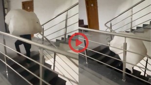 Delivery boy climbs sixth floor with heavy parcel after society denies lift viral video sparks debate